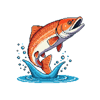 king salmon leaping