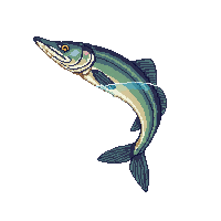 northern pike leaping