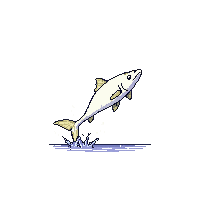 paddlefish leaping