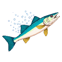 pike leaping