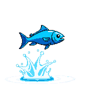 pompano leaping