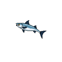 ribbonfish leaping