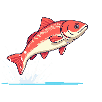 salmon leaping