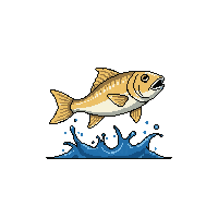 scup leaping