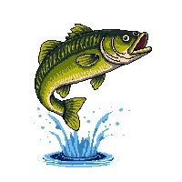 smallmouth bass leaping