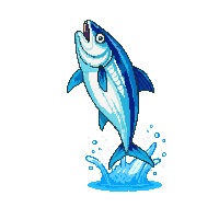 tuna leaping