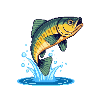 walleye leaping