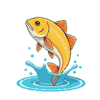 weakfish leaping