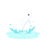 whitefish leaping