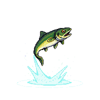 zander leaping