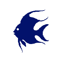 angelfish silhouette