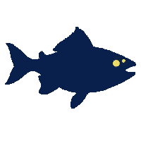 arowana silhouette