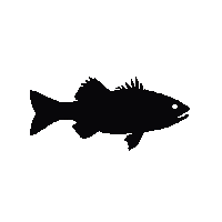 bass silhouette