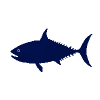 bluefin tuna silhouette