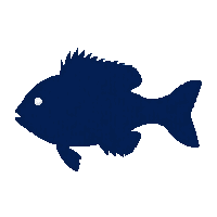 bluegill silhouette