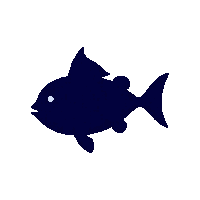 boxfish silhouette