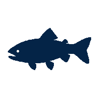 brook trout silhouette