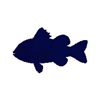 clownfish silhouette