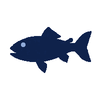 cod silhouette