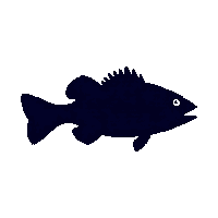 crappie silhouette