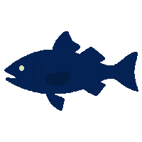 dace silhouette