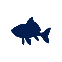 darter silhouette