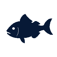 drum fish silhouette