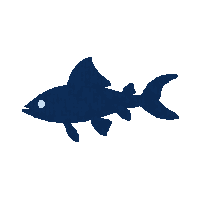 eel silhouette