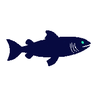 electric eel silhouette
