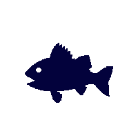 gar silhouette