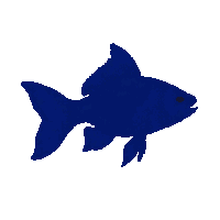 goldfish silhouette