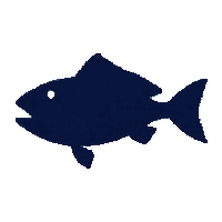 grouper silhouette