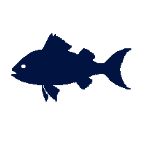 halibut silhouette