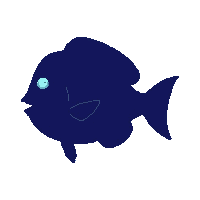 john dory silhouette