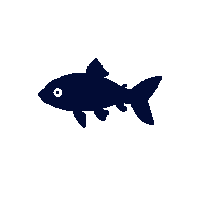 koi silhouette