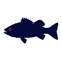 largemouth bass silhouette