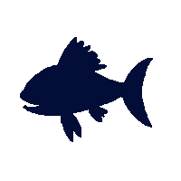 lingcod silhouette