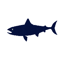mackerel silhouette