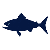 mahi mahi silhouette
