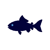 minnow silhouette
