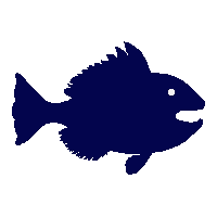 monkfish silhouette