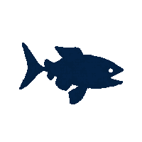 paddlefish silhouette