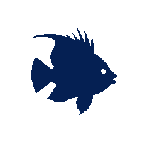 parrotfish silhouette