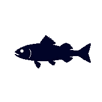 perch silhouette