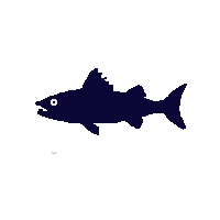 pike silhouette