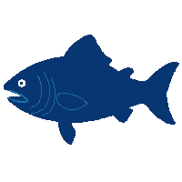 piranha silhouette