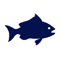 pompano silhouette