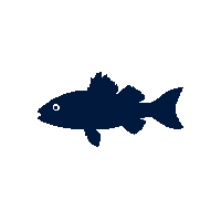 redfish silhouette