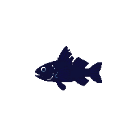 rudd silhouette