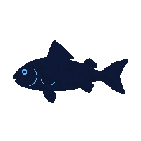 sablefish silhouette